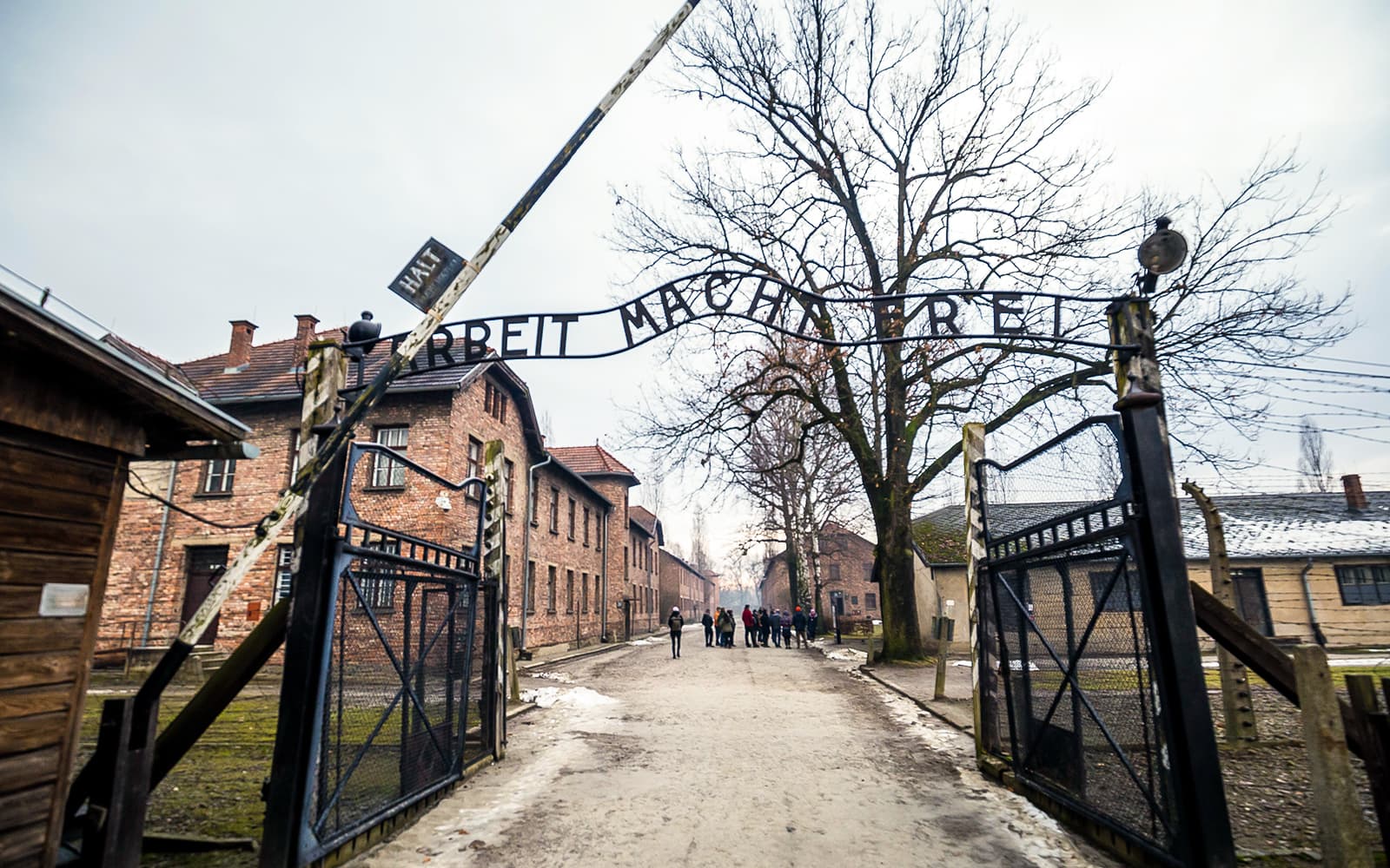 2-Day Guided Tour of Auschwitz & Wieliczka Salt Mine tickets in Krakow - Attractions | TickYourList