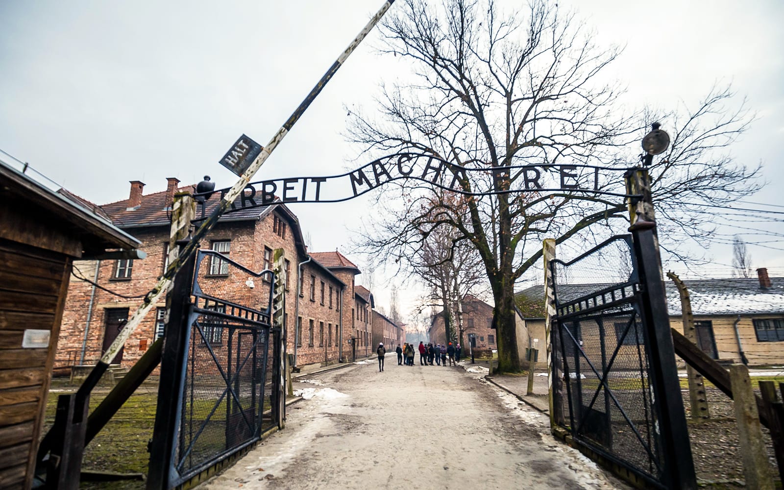 2-Day Guided Tour of Auschwitz & Wieliczka Salt Mine tickets in Krakow - Attractions | TickYourList