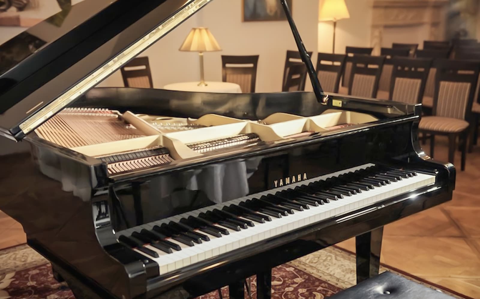 Chopin Piano Concert tickets in Krakow - Features | TickYourList