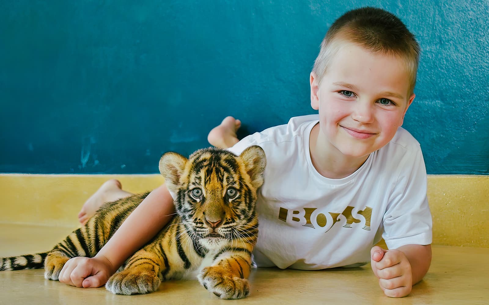 Tiger Park Tickets in Phuket - Full Experience | TickYourList