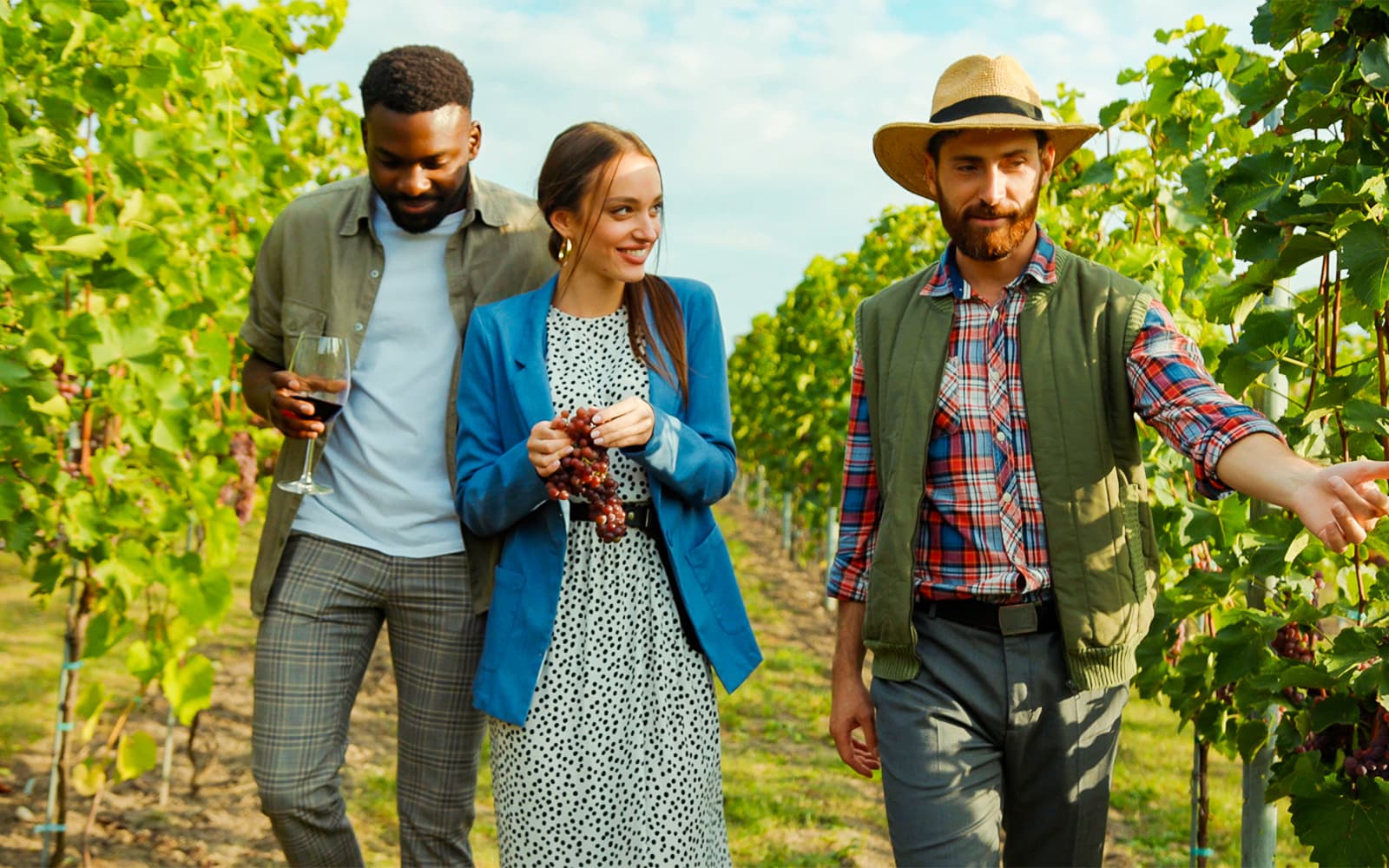 Chodorowa Vineyards and Chruślice Watchpoint Guided Wine Tour with Round-Trip Transfers tickets in Krakow - Activities | TickYourList