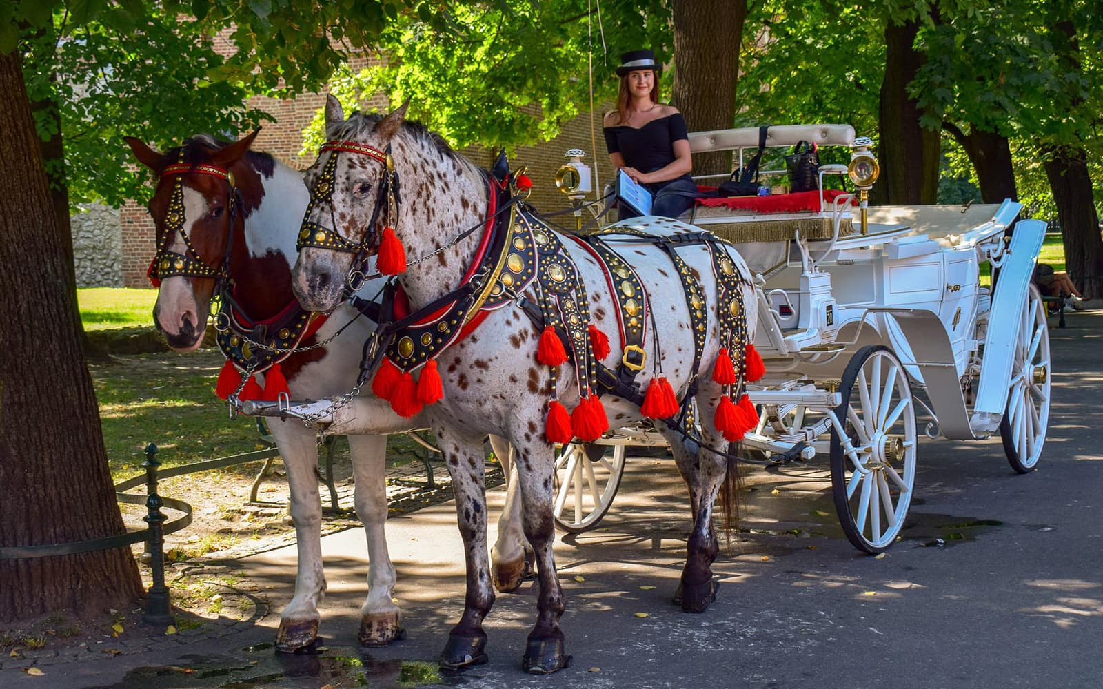Guided Walking Tour of Krakow Old Town and Market Square tickets in Krakow - Activities | TickYourList