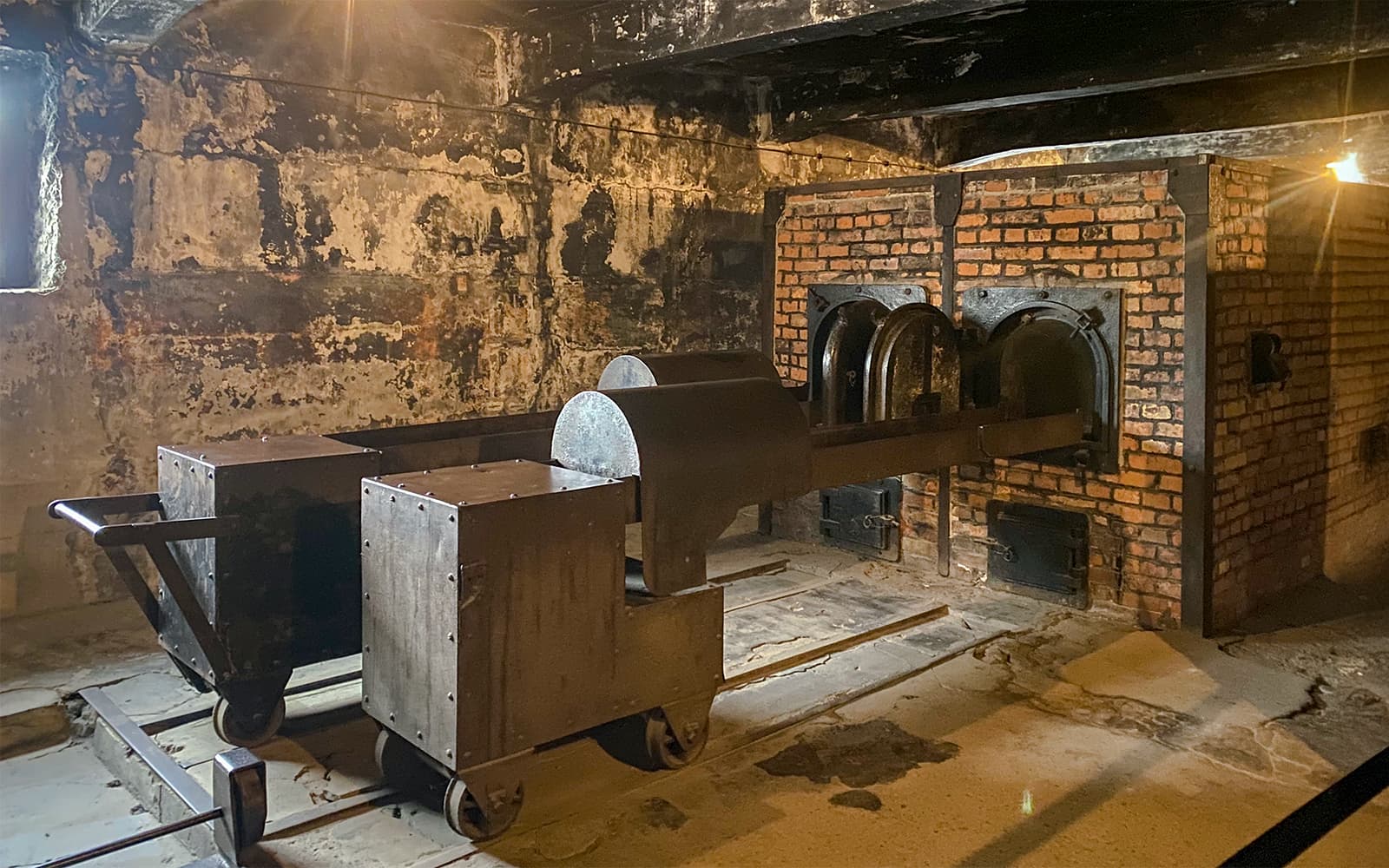 From Krakow: Auschwitz-Birkenau Guided Tour with Transfers tickets in Krakow - Features | TickYourList