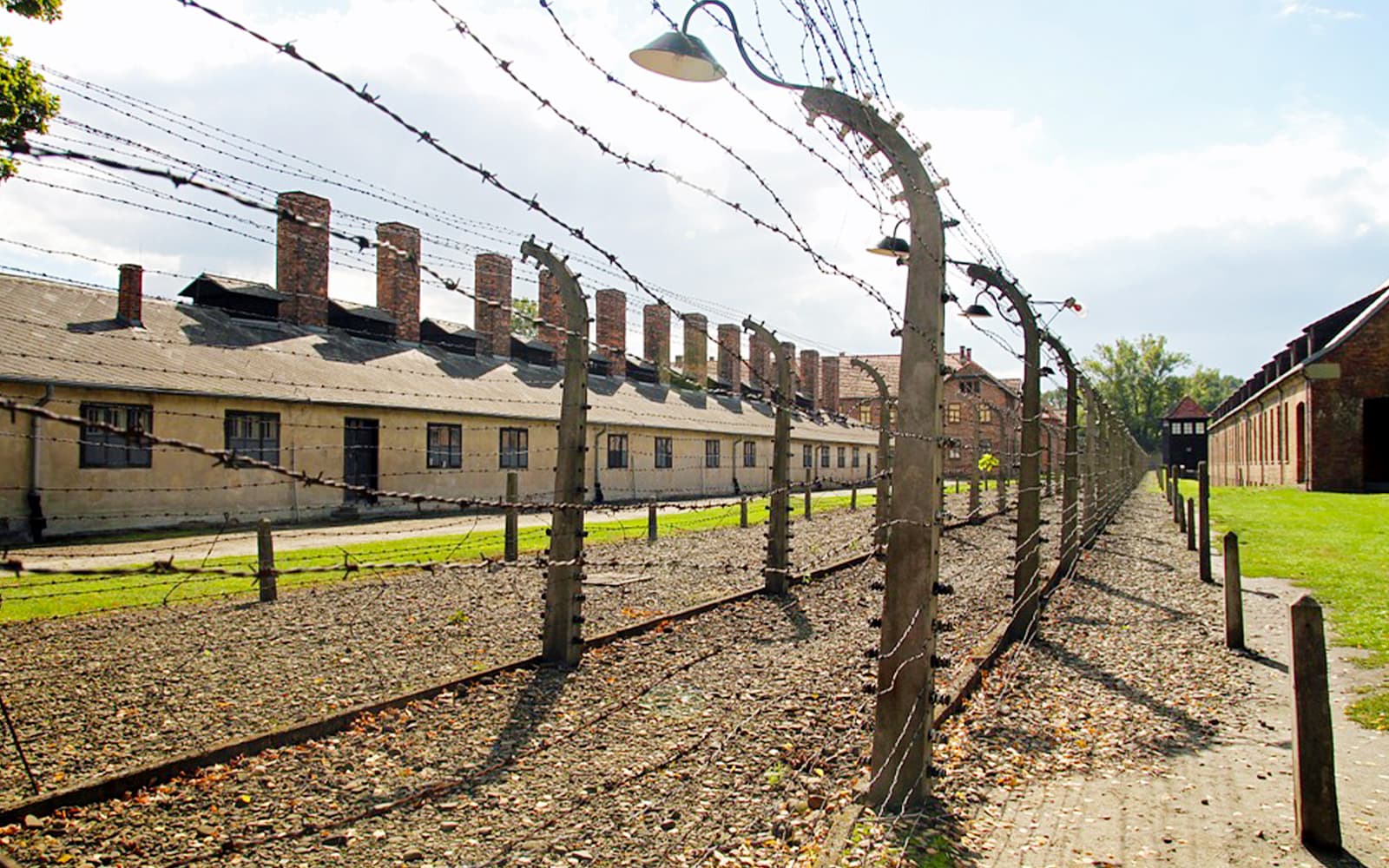 Guided Tour of Auschwitz-Birkenau & Salt Mine from Kraków tickets in Krakow - Activities | TickYourList