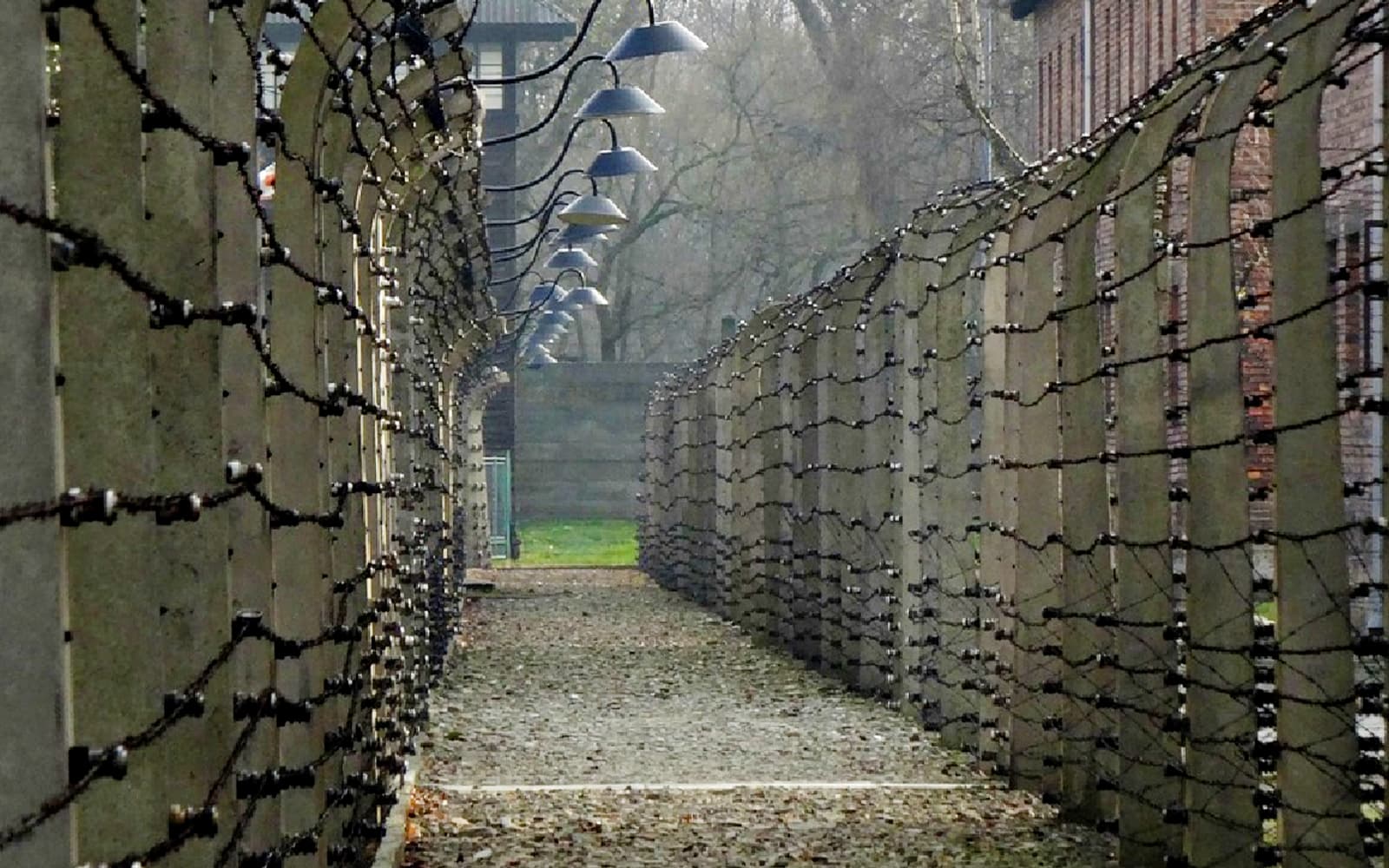 Guided Tour of Auschwitz-Birkenau & Salt Mine from Kraków tickets in Krakow - Highlights | TickYourList