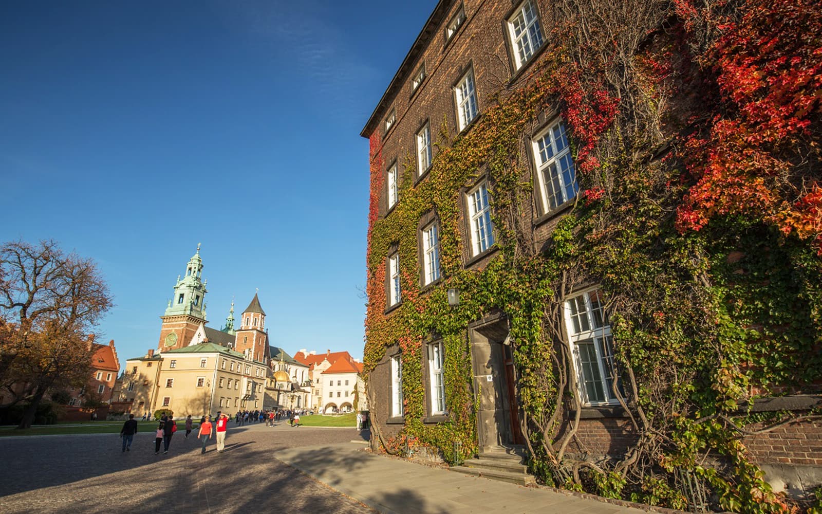 Small-Group Guided Tour of Wawel Castle & Cathedral with a Glass of Wine tickets in Krakow - Activities | TickYourList