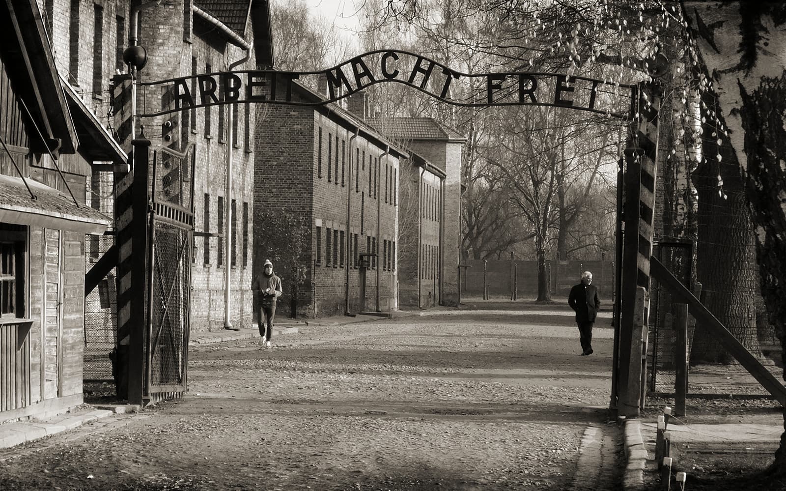 Day Tour to Auschwitz-Birkenau Memorial & Museum from Krakow