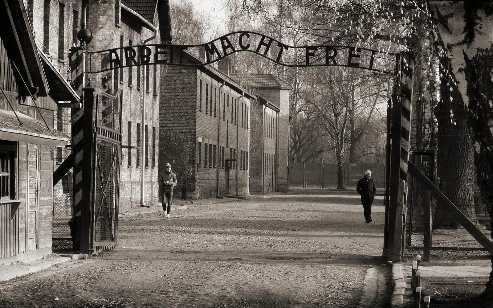Day Tour to Auschwitz-Birkenau Memorial & Museum from Krakow