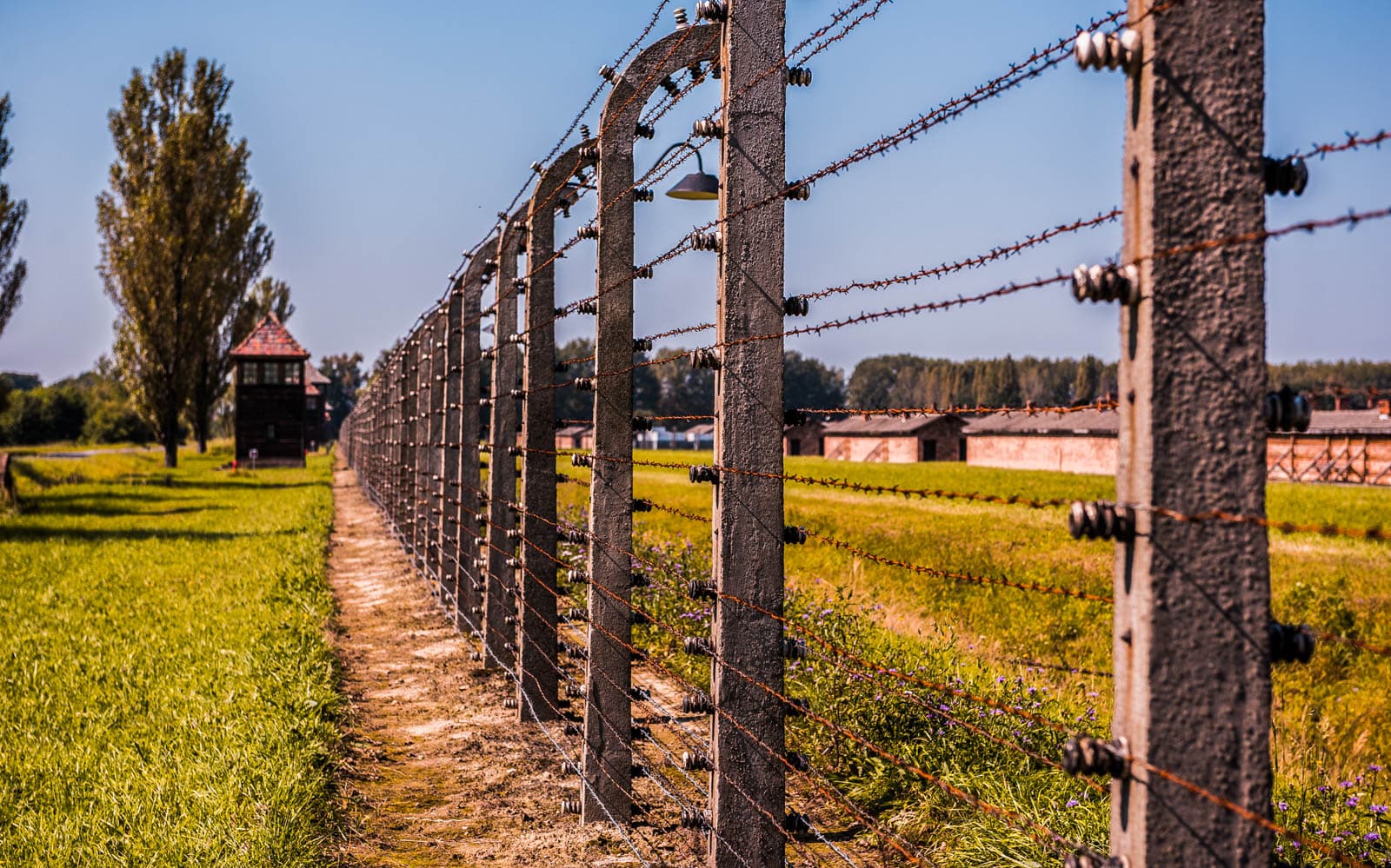 Day Tour to Auschwitz-Birkenau Memorial & Museum from Krakow tickets in Krakow - Activities | TickYourList
