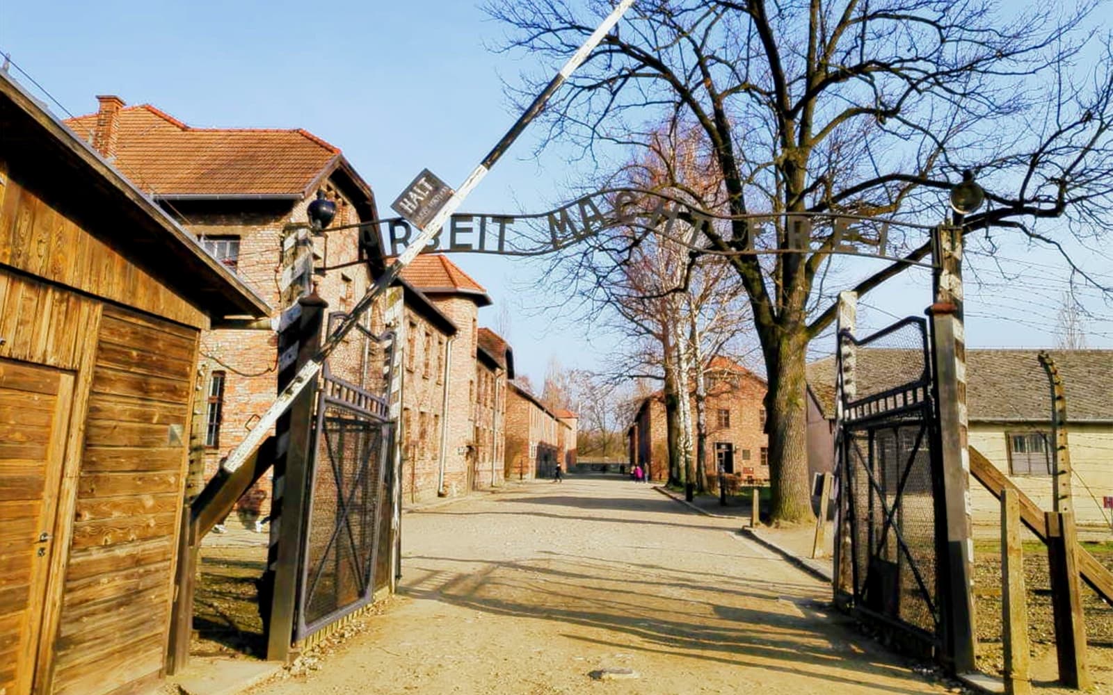 Auschwitz & Birkenau Tour with Individual Entry & Transfers