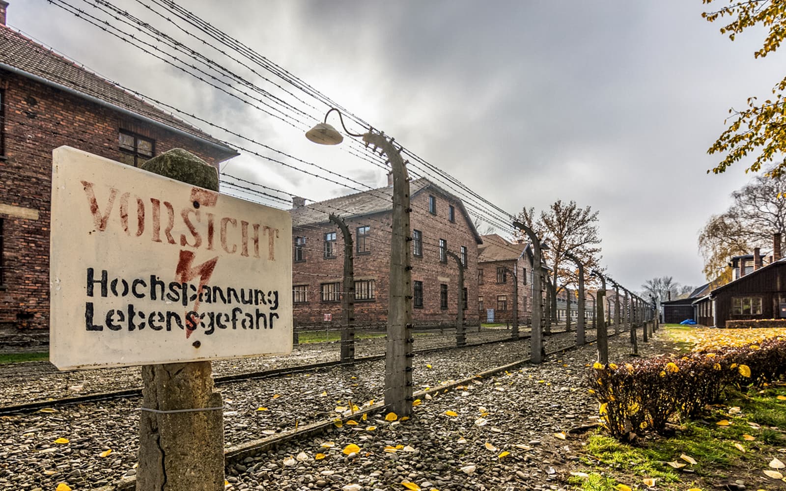 Auschwitz & Birkenau Tour with Individual Entry & Transfers tickets in Krakow - Features | TickYourList