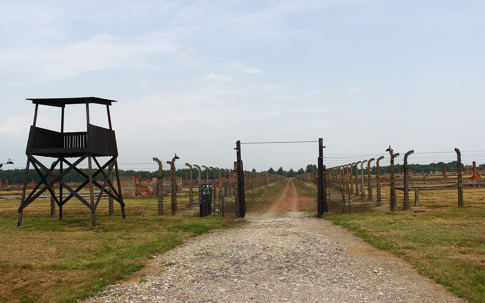Day Tour of Krakow and Auschwitz from Warsaw with Lunch tickets in Warsaw - Activities | TickYourList