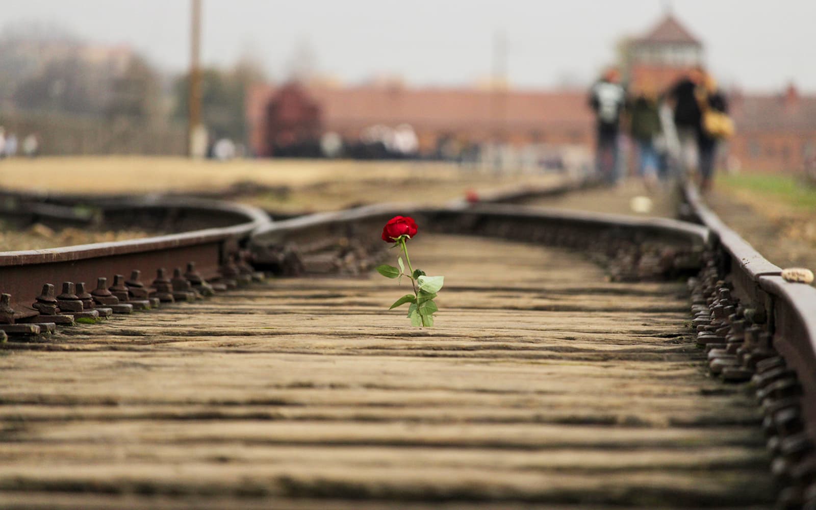 Day Tour of Krakow and Auschwitz from Warsaw with Lunch tickets in Warsaw - Highlights | TickYourList