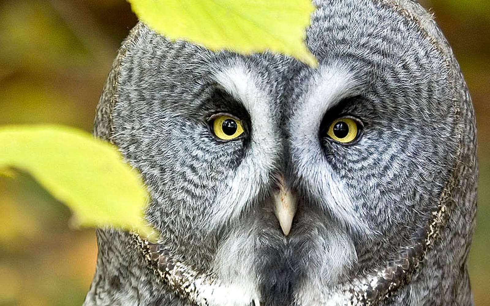 Entry Tickets to Krakow Zoo experience in Krakow | TickYourList