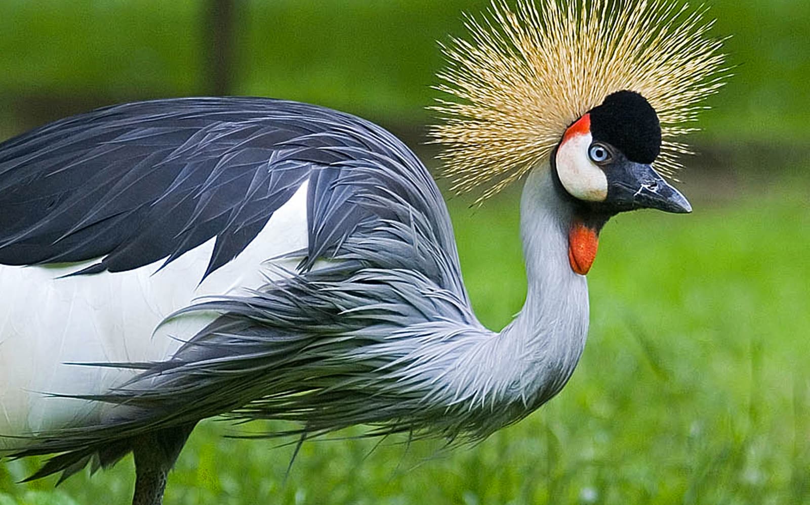 Entry Tickets to Krakow Zoo in Krakow - Highlights | TickYourList
