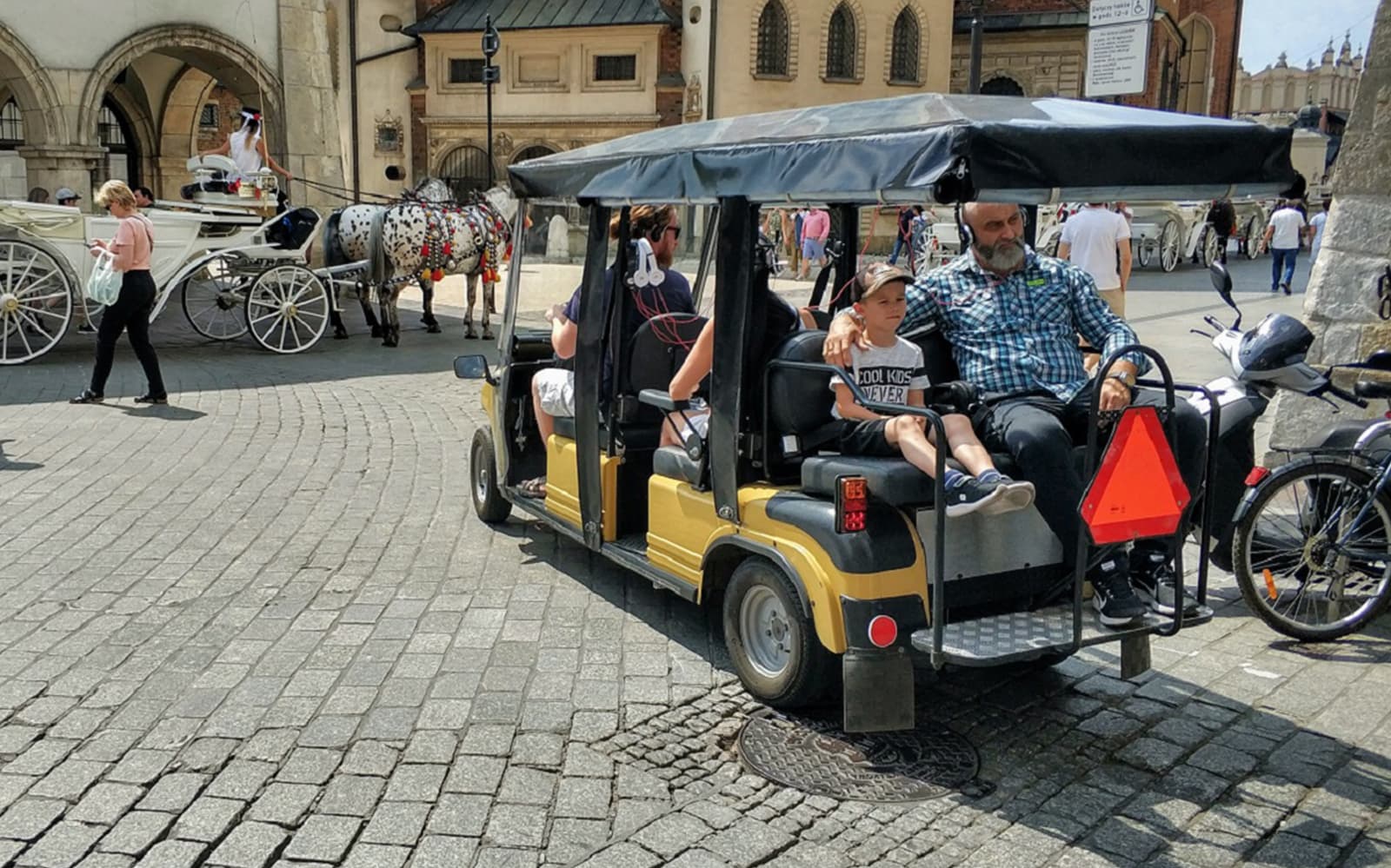 Krakow: Old Town by Golf Cart, Wawel Castle and Salt Mine Wieliczka Guided Tour tickets in Krakow - Features | TickYourList