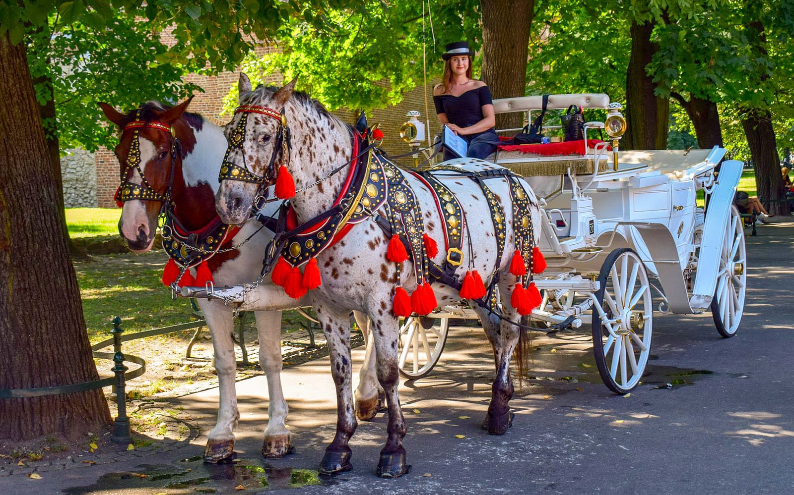 5-Hour Guided Walk around Krakow (Old Town + Jewish Quarter) tickets in Krakow - Activities | TickYourList