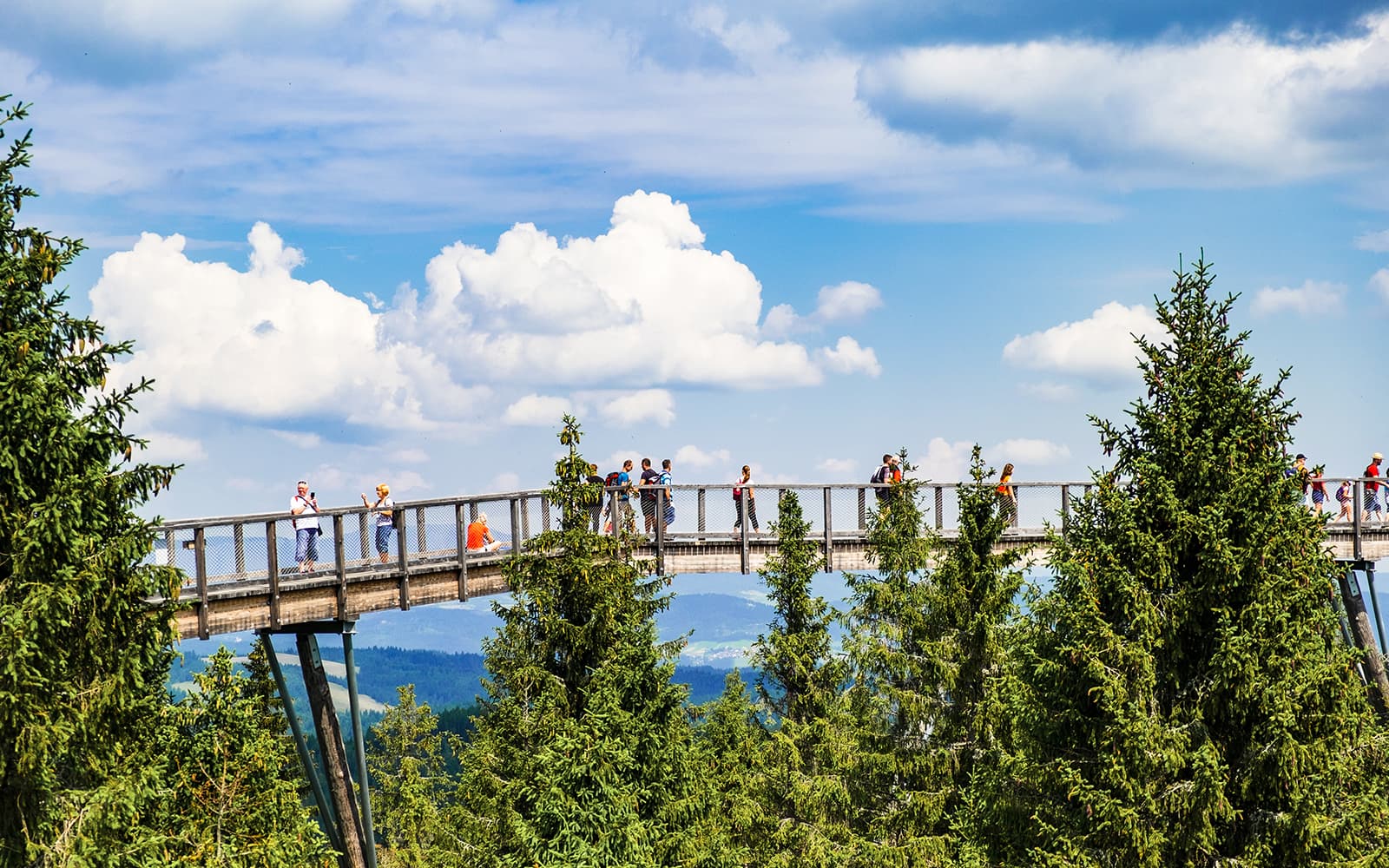 Full-Day Tour of Tatra region with Slovakia Treetop Walk & Dunajec Rafting tickets in Krakow - Attractions | TickYourList