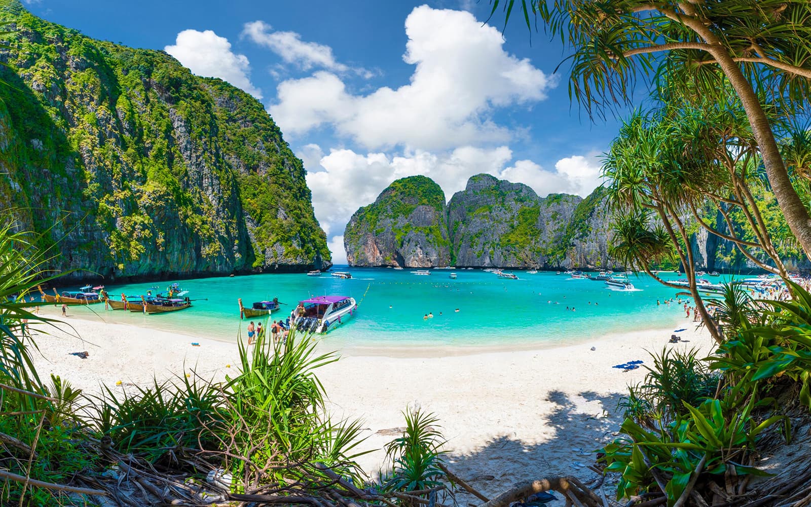 By Speed Catamaran: PhiPhi, Monkey Beach & Khai Island Tour with Park Fees tickets in Phuket - Activities | TickYourList