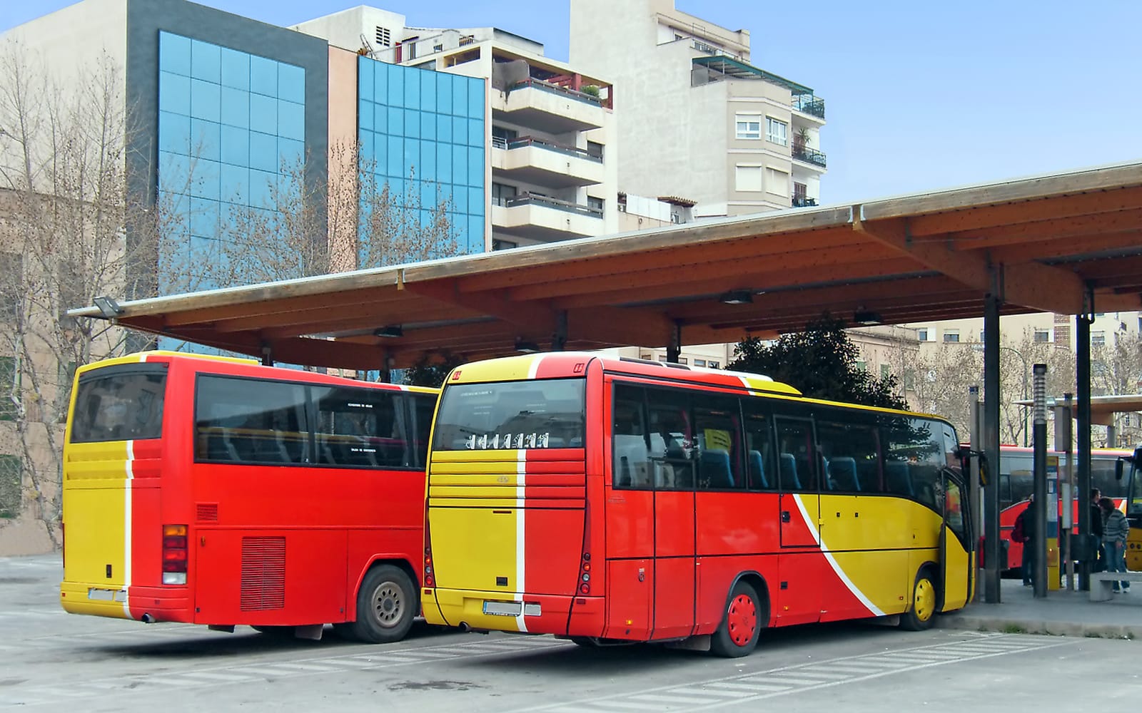 Alsa One-Way Tickets: Ibiza Airport to/from Ibiza Superficie Cetis in Ibiza - Activities | TickYourList