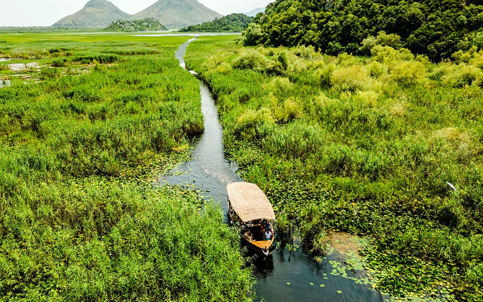From Virpazar: Lake Skadar Sightseeing Boat Tour & Kom Monastery with Drinks