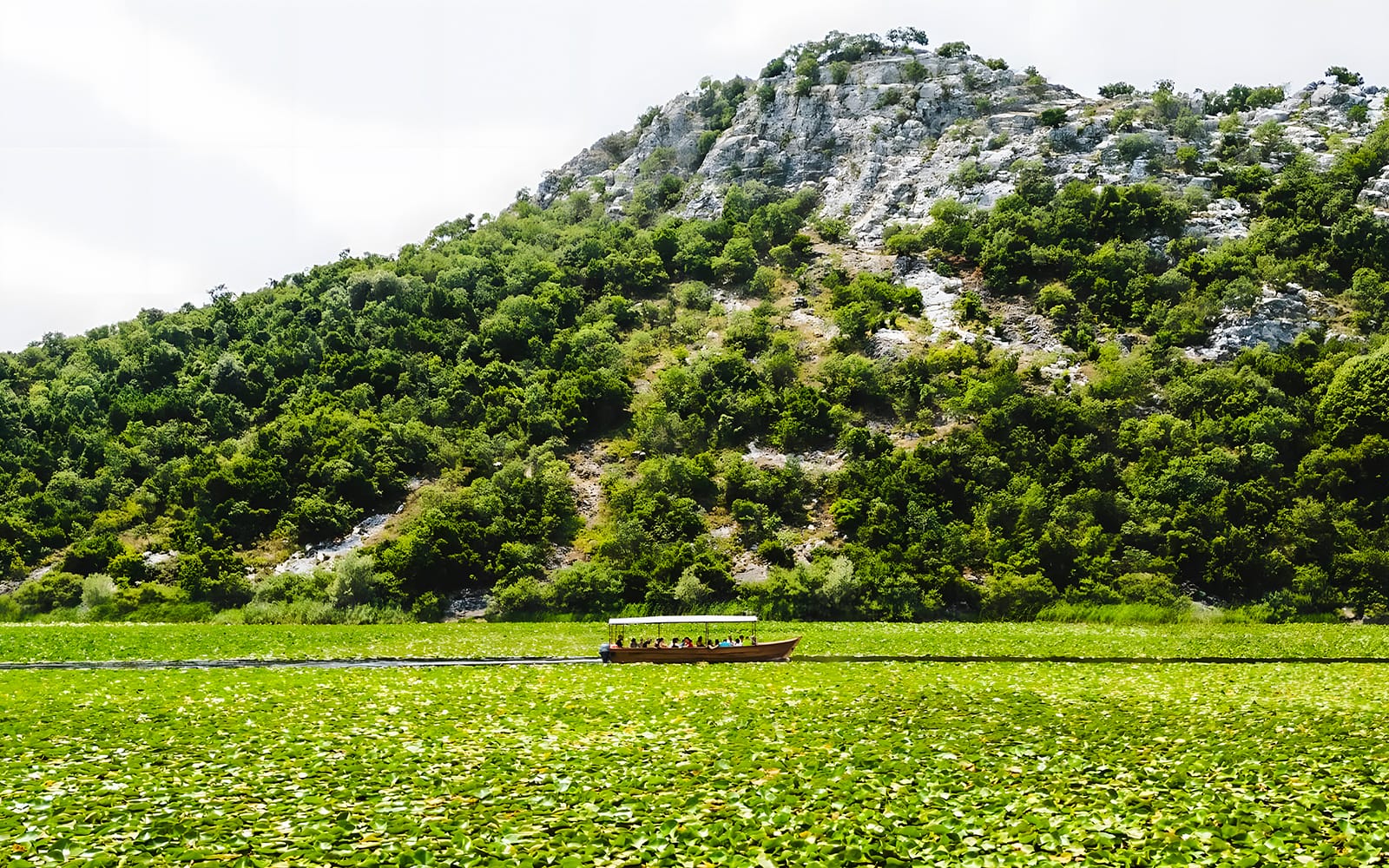 From Virpazar: Lake Skadar Sightseeing Boat Tour & Kom Monastery with Drinks tickets in Kotor - Activities | TickYourList