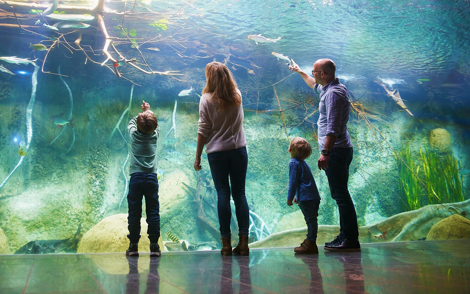 Tickets to Zoo Leipzig in Leipzig - Highlights | TickYourList
