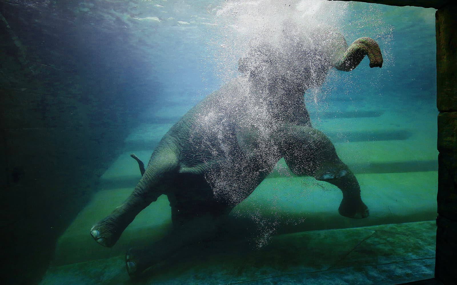 Tickets to Zoo Leipzig in Leipzig - Features | TickYourList