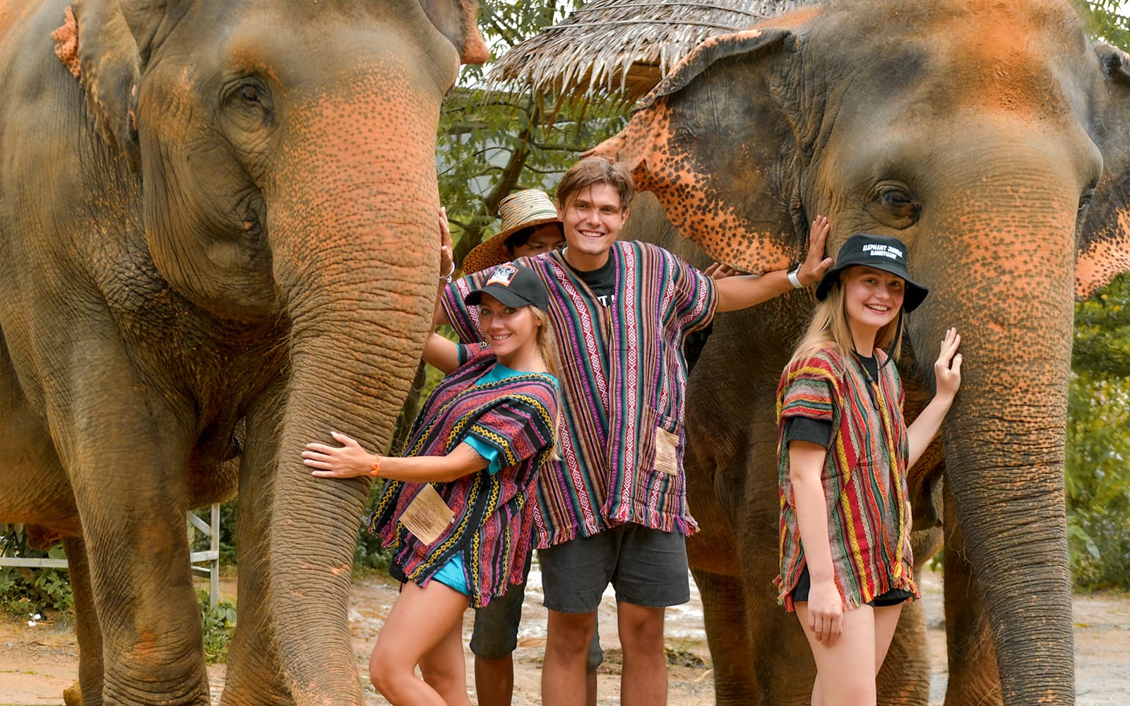Half Day Tour with Elephant Feed and Mud Spa with Hotel Transfers tickets in Phuket - Attractions | TickYourList