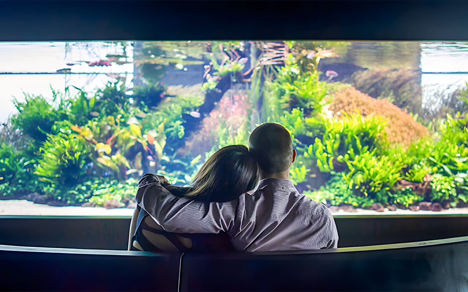 Oceanário de Lisboa Tickets in Lisbon - Activities | TickYourList