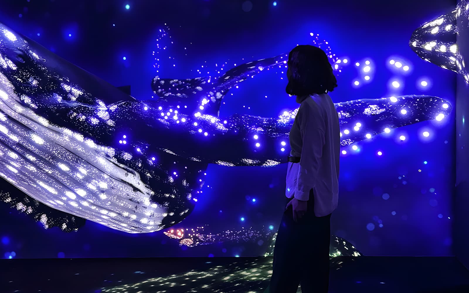 Oceanário de Lisboa Tickets in Lisbon - Highlights | TickYourList