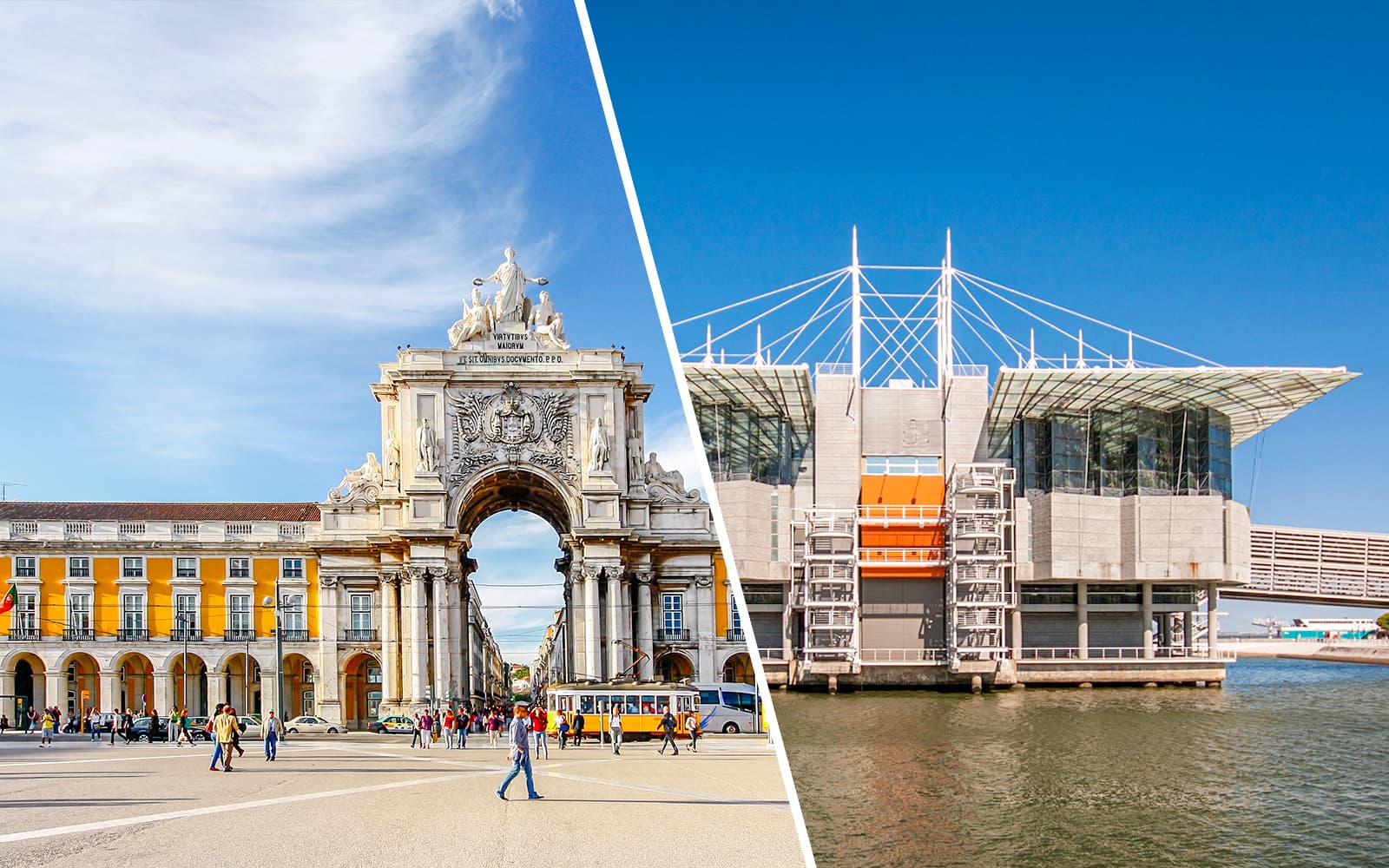 Combo (Save 12%): Lisbon Card + Oceanário de Lisboa Tickets