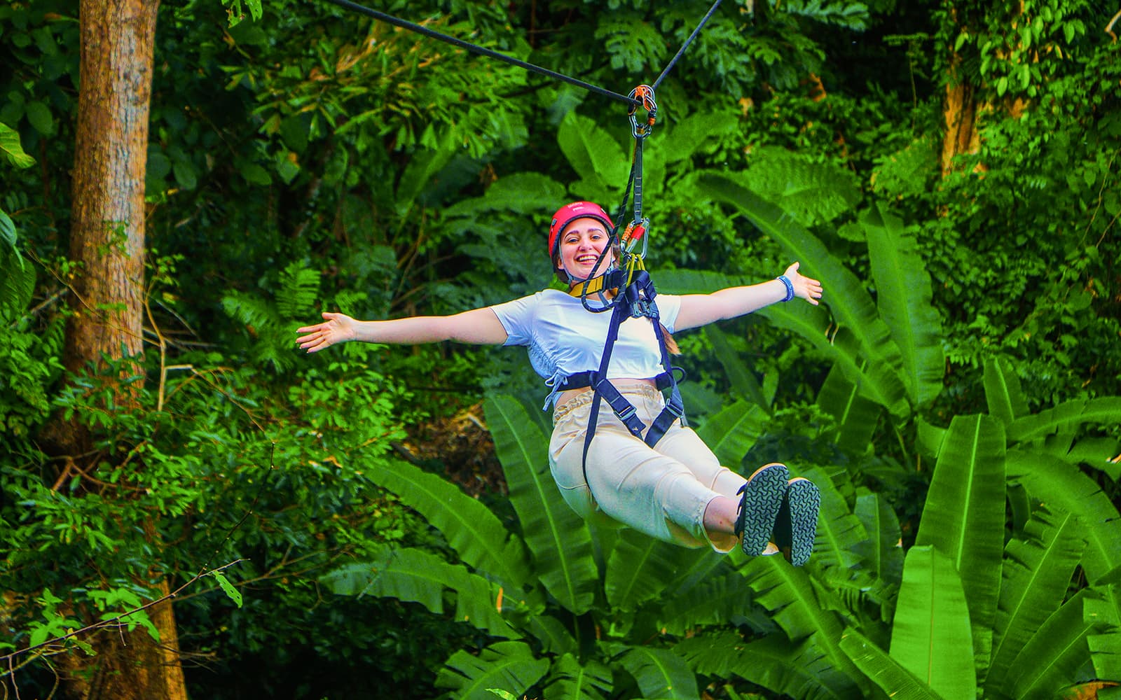 Hanuman World A+ Combo: 32 Zipline Platforms + Roller Zipline + Sky Walk + Meal with Round-Trip Transfers