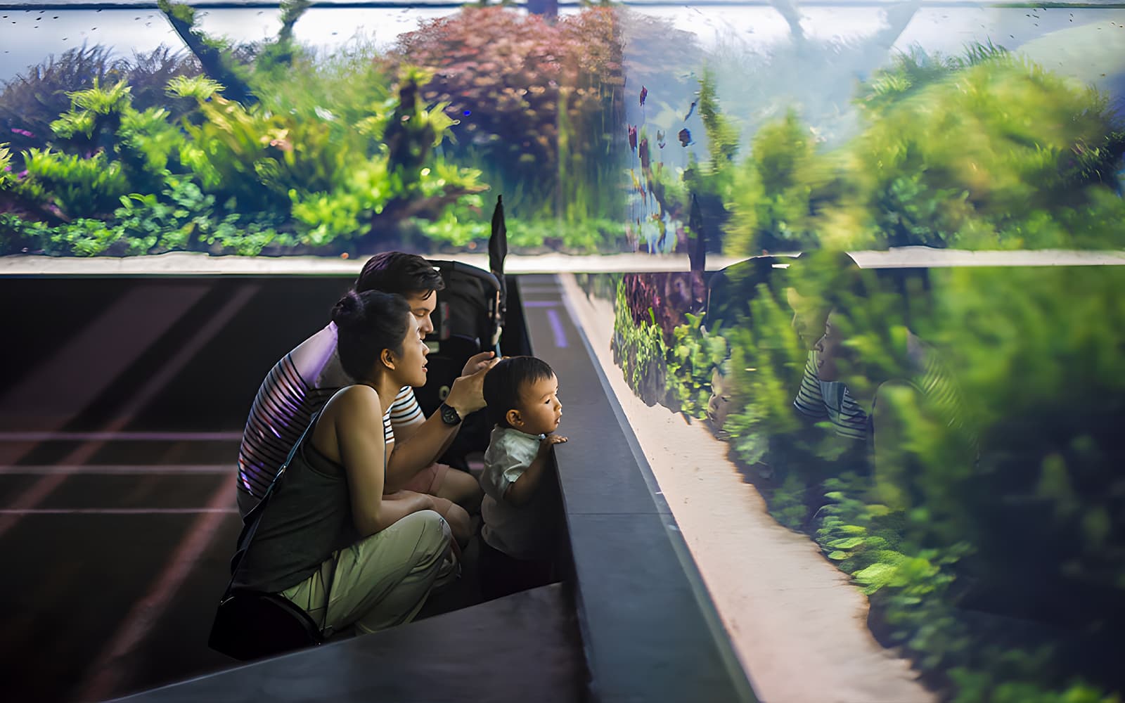 Combo (Save 14%): Lisbon Zoo + Oceanário de Lisboa tickets in Lisbon - Attractions | TickYourList