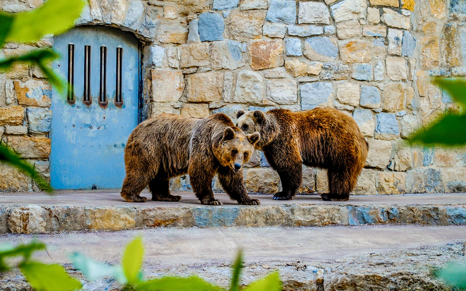 Combo (Save 14%): Lisbon Zoo + Oceanário de Lisboa tickets in Lisbon - Highlights | TickYourList