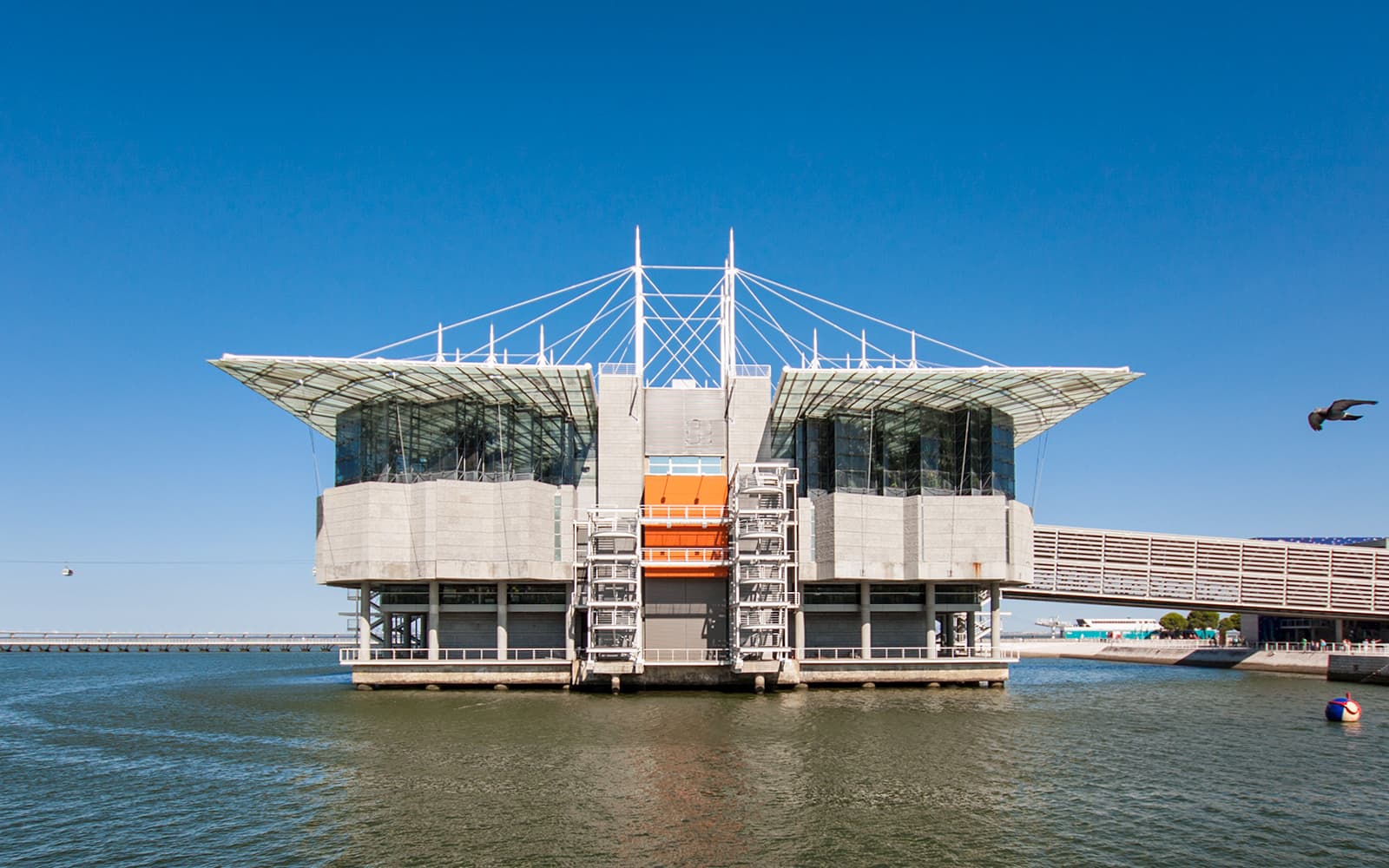 Combo (Save 22%): SL Benfica Stadium & Museum Guided Tour + Lisbon Oceanário Ticket in Lisbon - Attractions | TickYourList