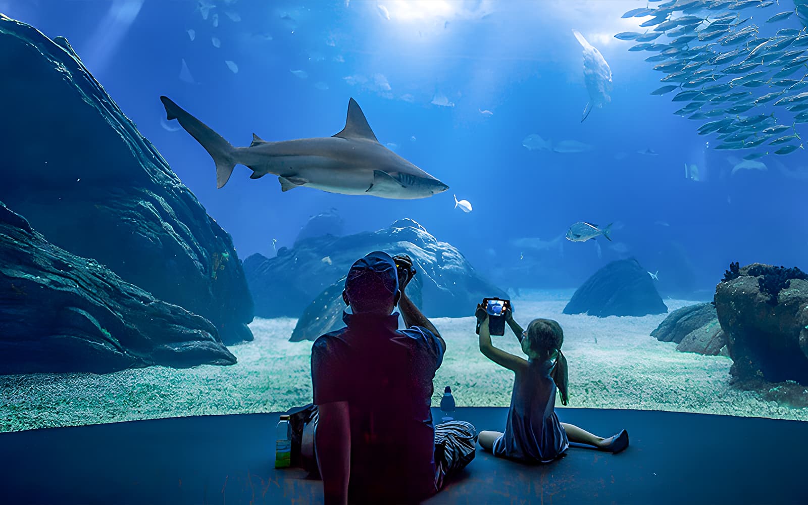 Combo (Save 22%): SL Benfica Stadium & Museum Guided Tour + Lisbon Oceanário Ticket in Lisbon - Activities | TickYourList