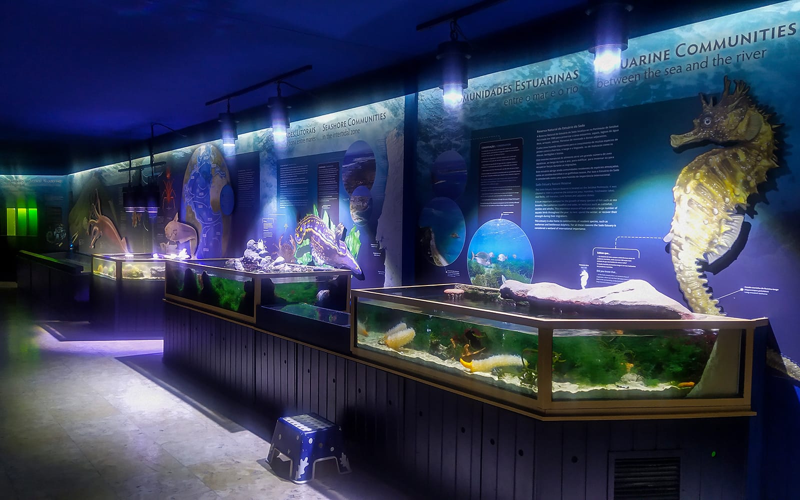 Tickets to Vasco da Gama Aquarium in Lisbon experience in Lisbon | TickYourList