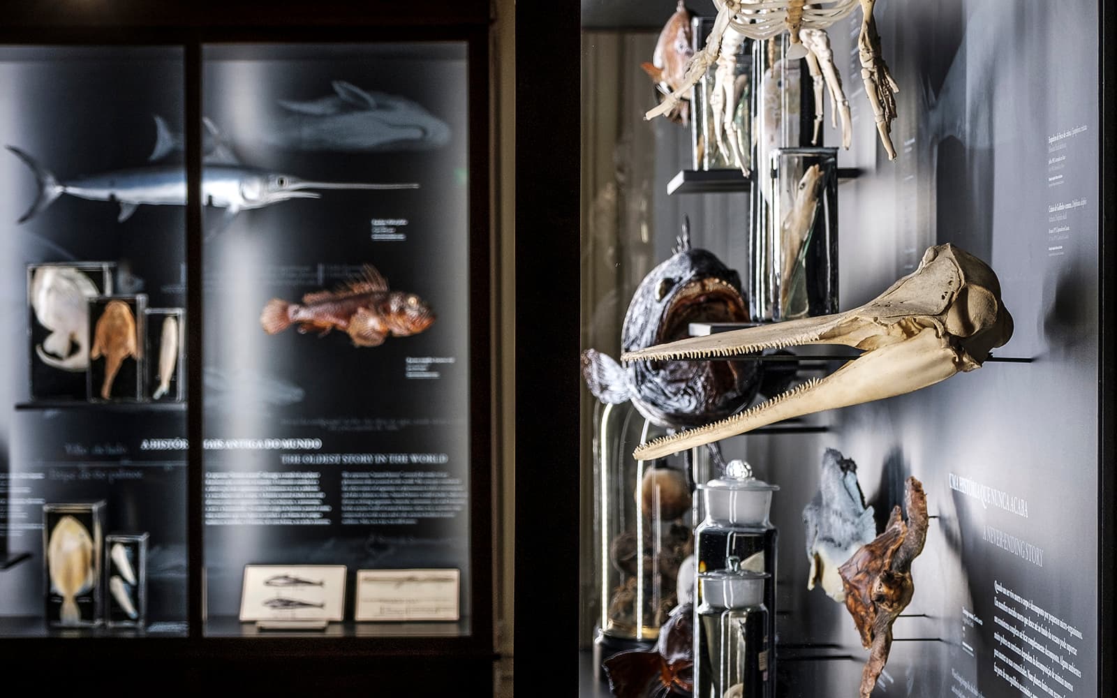 Tickets to Vasco da Gama Aquarium in Lisbon in Lisbon - Activities | TickYourList