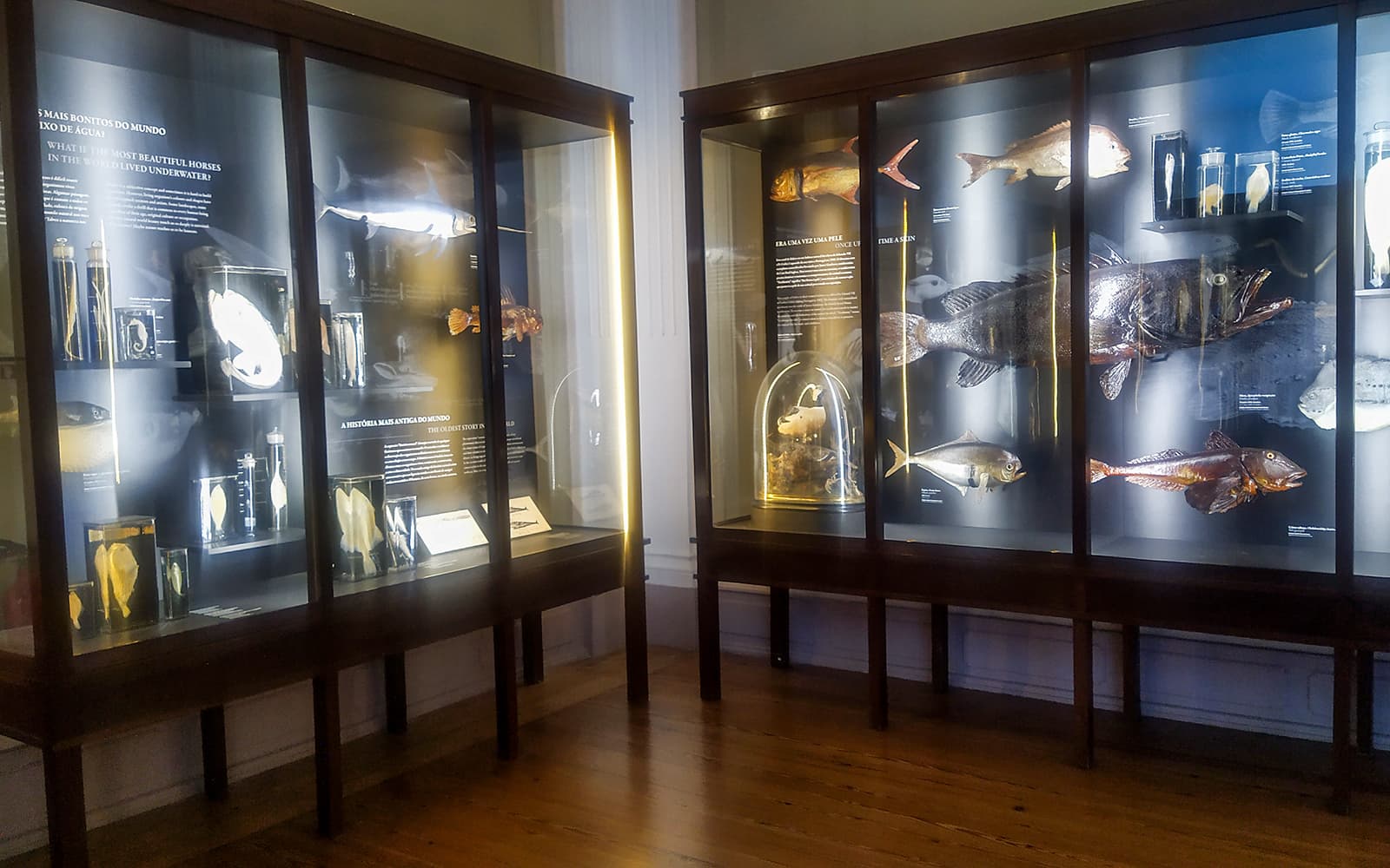 Tickets to Vasco da Gama Aquarium in Lisbon in Lisbon - Highlights | TickYourList