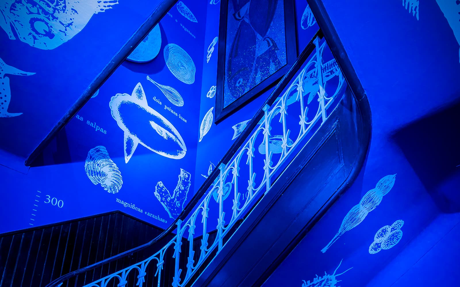 Tickets to Vasco da Gama Aquarium in Lisbon in Lisbon - Features | TickYourList