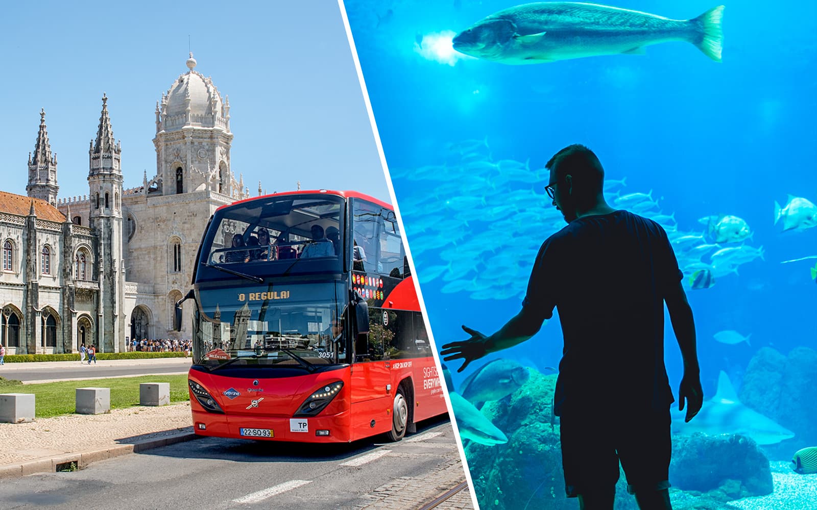 Combo: Lisbon Hop-on Hop-off Bus Tour + Oceanário de Lisboa Skip-the-Line Tickets