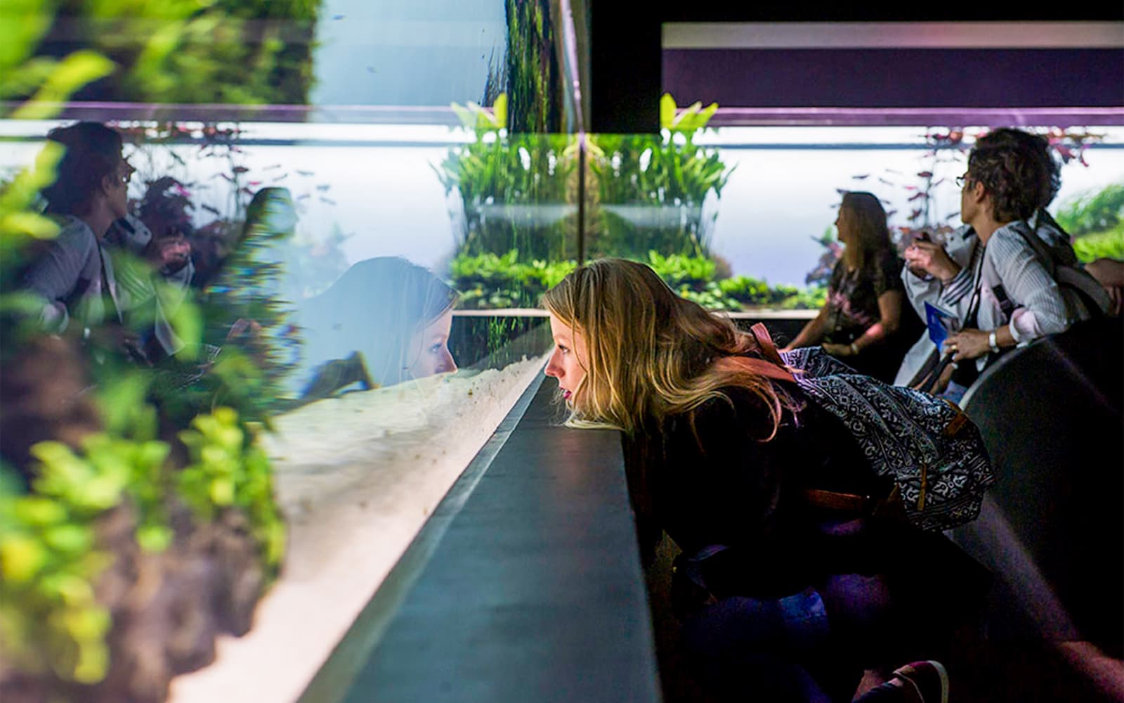 Combo: Lisbon Hop-on Hop-off Bus Tour + Oceanário de Lisboa Skip-the-Line Tickets in Lisbon - Activities | TickYourList