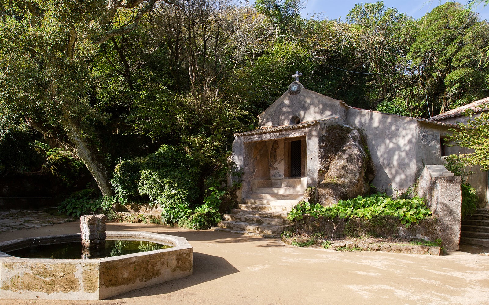 listing card gallery - Image 1 of 5