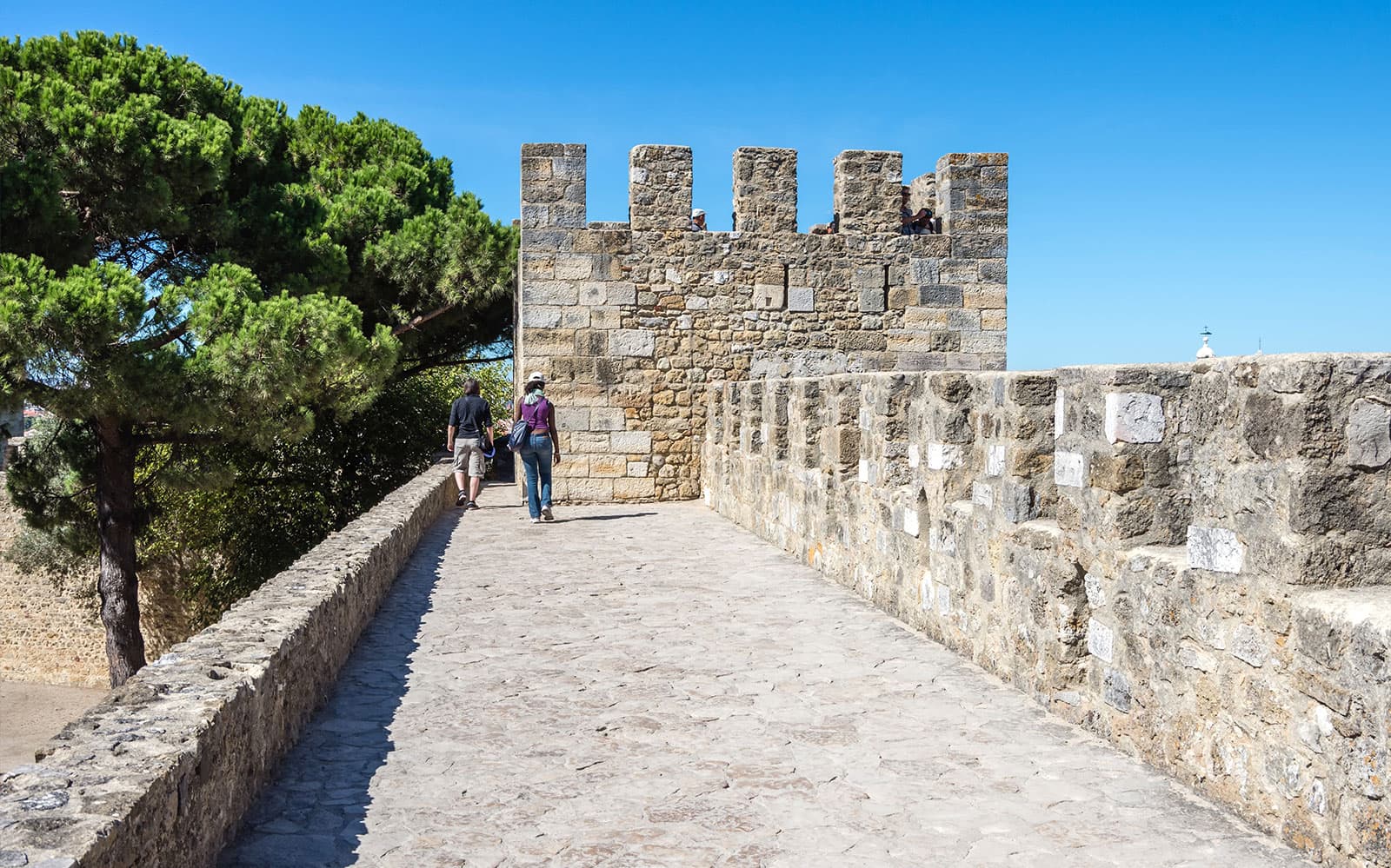 Combo (Save 16%): Oceanário de Lisboa + St. George’s Castle Tickets in Lisbon - Features | TickYourList
