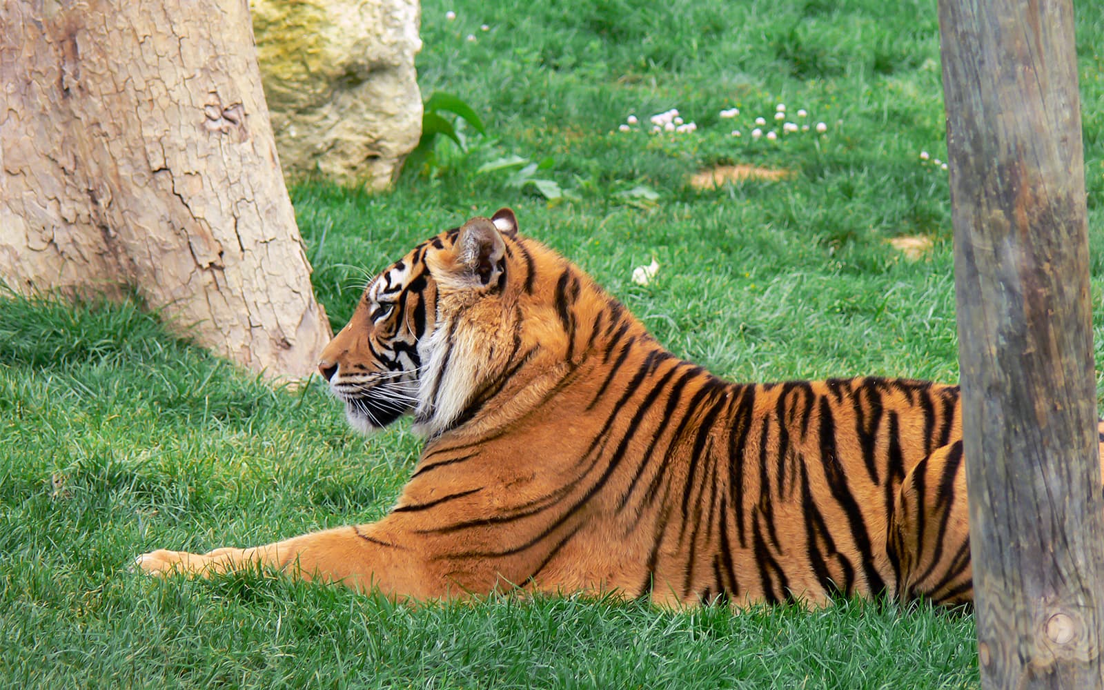 Tickets to Jardim Zoologico in Lisbon - Attractions | TickYourList