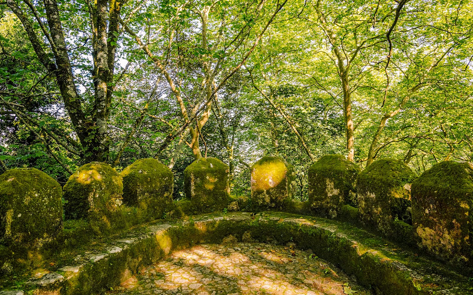 Moorish Castle Guided Tour tickets in Lisbon - Activities | TickYourList
