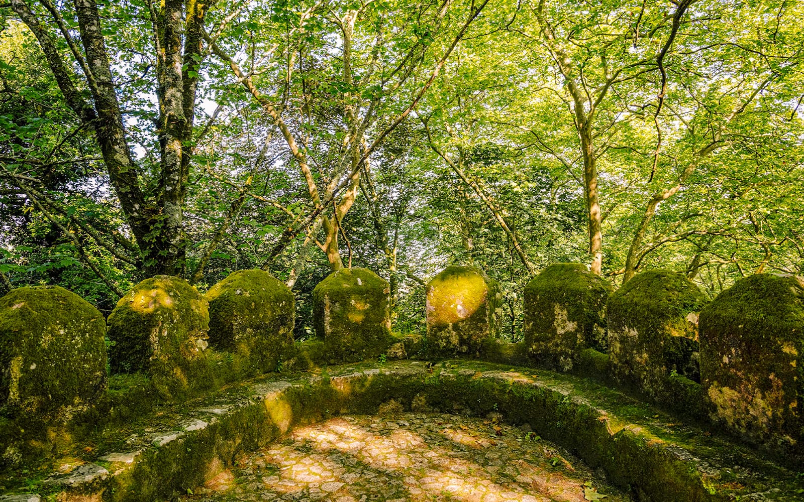 Moorish Castle Guided Tour tickets in Lisbon - Activities | TickYourList