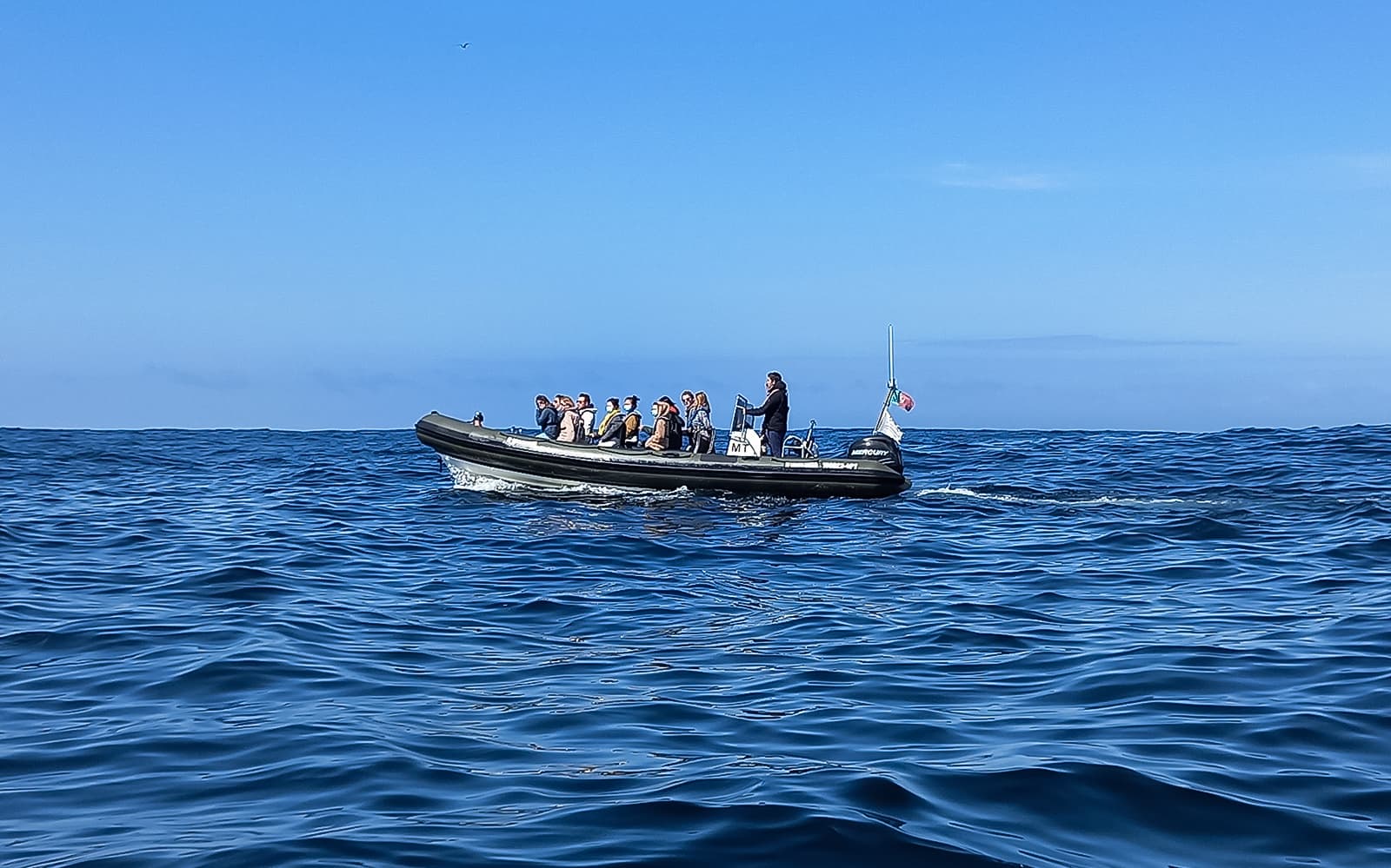 Guided Boat Tour with Dolphin Watching tickets in Lisbon - Attractions | TickYourList