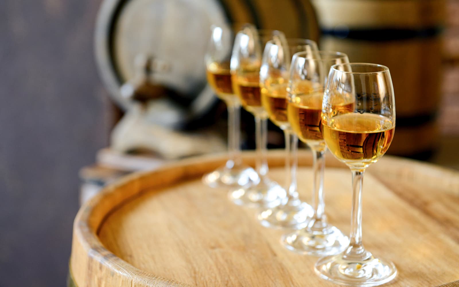 Wine Tour of Èvora from Lisbon tickets in Lisbon - Activities | TickYourList